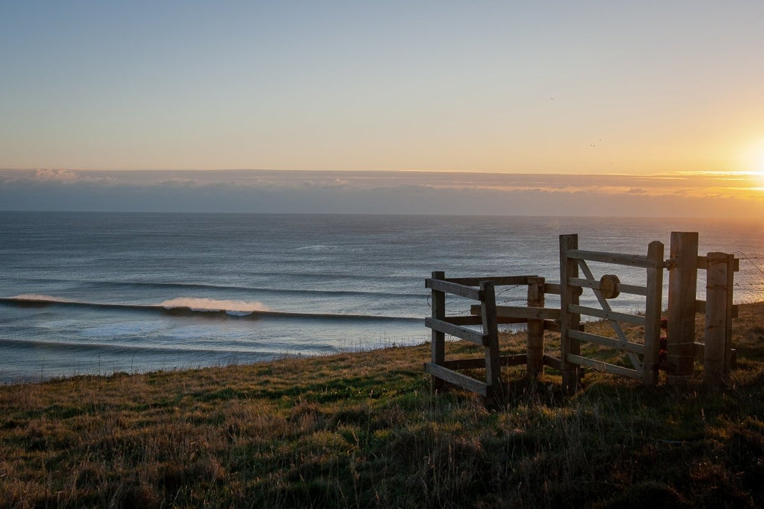 Island Life Through A Lens - Rapanui Clothing