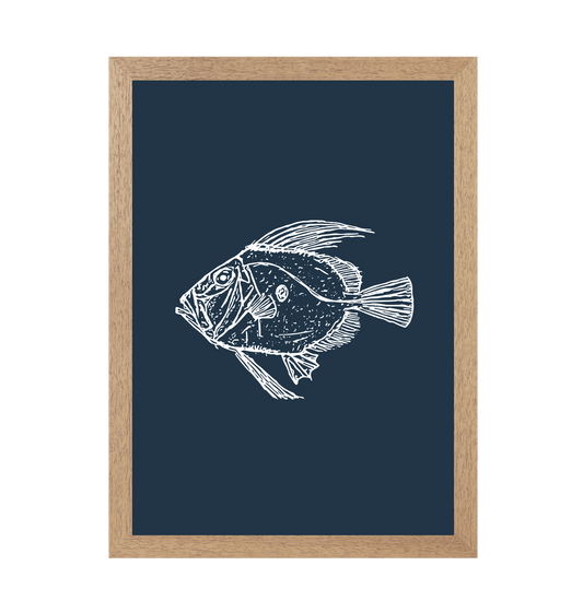 Fish Art Print - Accessories