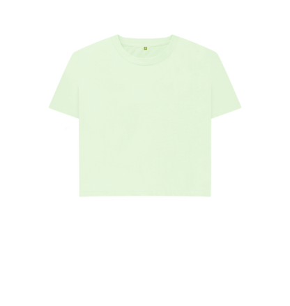 Plain Organic Boxy T - shirt - 